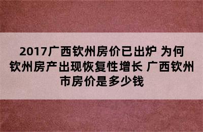 2017广西钦州房价已出炉 为何钦州房产出现恢复性增长 广西钦州市房价是多少钱